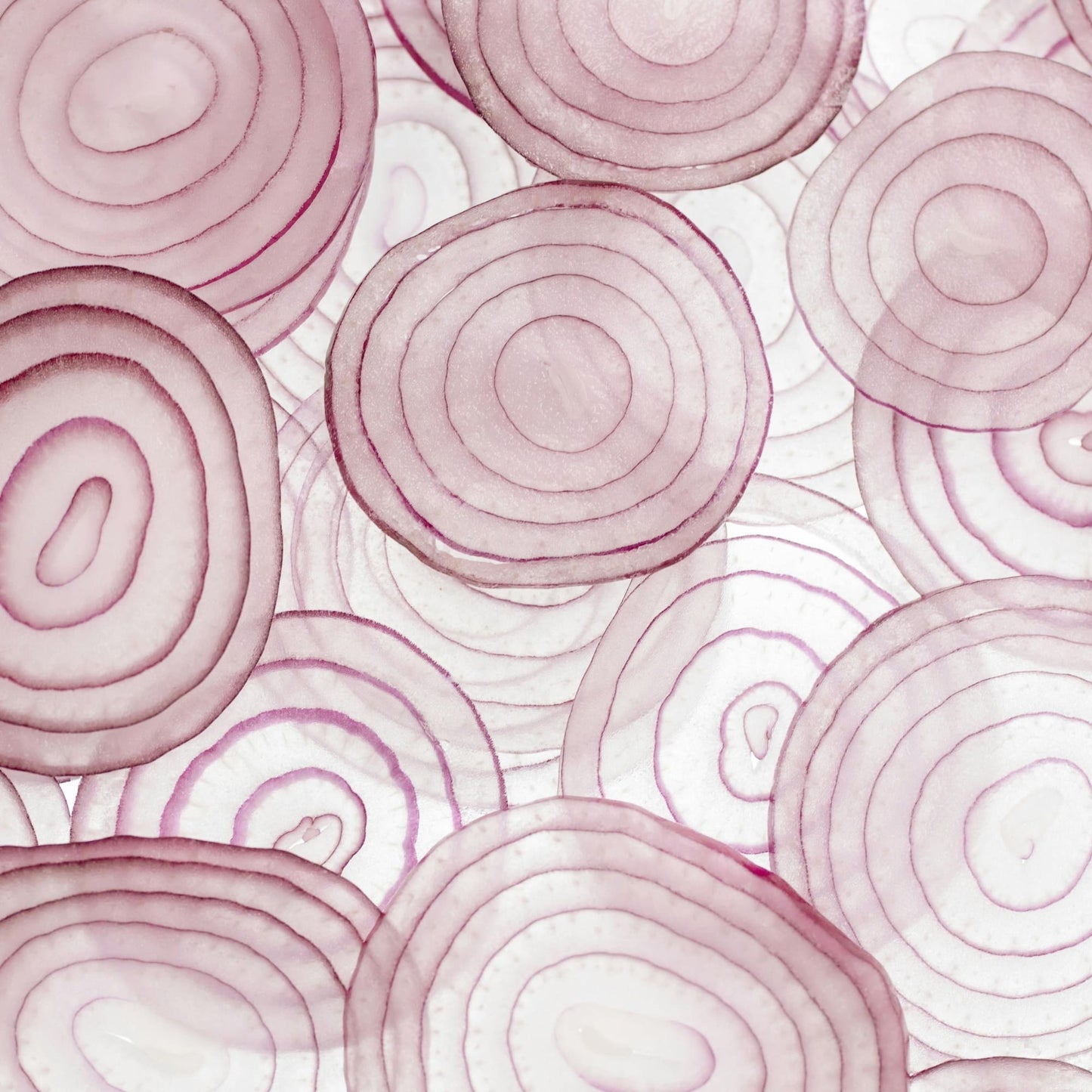 Red Onion Powder